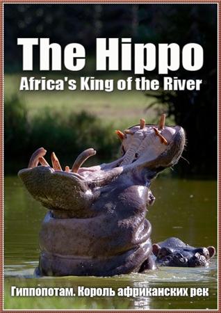 Гиппопотам. Король африканских рек / The Hippo: Africa's King of the River (2004) SATRip