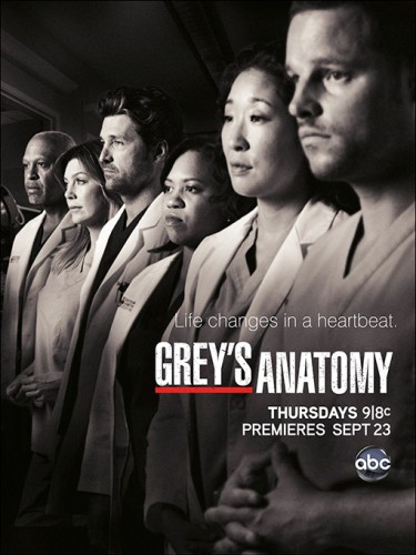   / Grey's Anatomy / : 8 / : 1-5 ( ,  ,  ) [2011, , WEB-DLRip] (  )