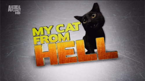   / My Cat From Hell (3   3) [2010 ., , HDTV, 1080i]