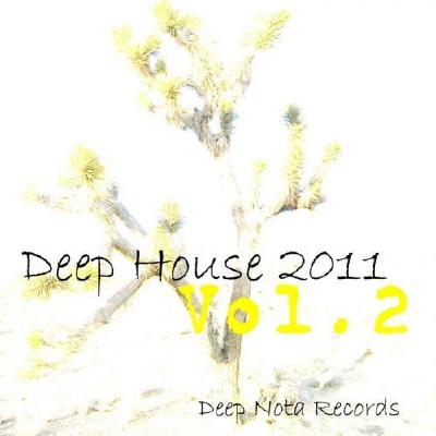 Deep House Vol. 2 (2011)