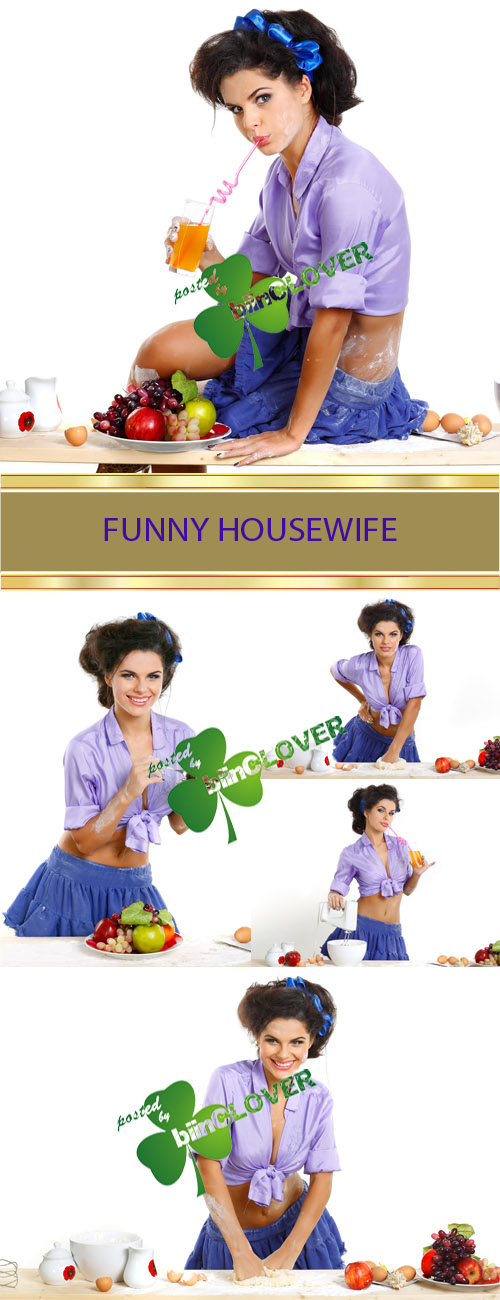 Funny housewife 0019