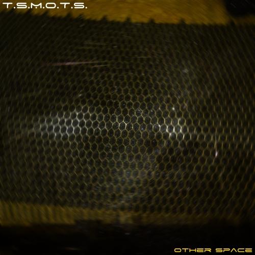 TSMOTS - Other Space (2011) FLAC lossless