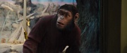    / Rise of the Planet of the Apes (2011/HDRip)
