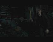 Гарри Поттер и Дары смерти: Часть II / Harry Potter and the Deathly Hallows: Part 2 (2011/DVD9/DVD5)