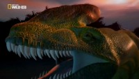 National Geographic.  / National Geographic. Dino Mania (2011) HDTVRip