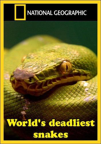      / World&#039;s Deadliest Snakes (2010) HDTVRip 720p