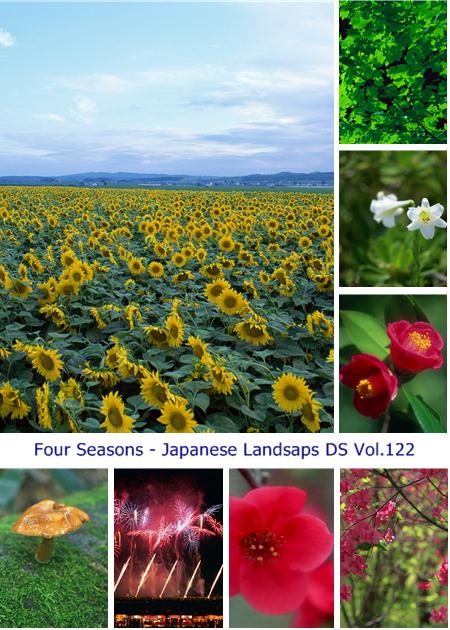Four Seasons - Japanese Landsaps DS Vol.122