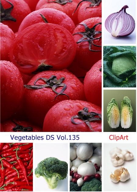 Vegetables DS Vol.135