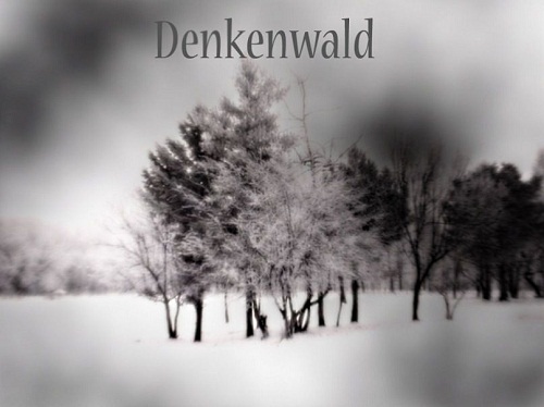 (Experimental Doom Metal) Denkenwald - Denkenwald - 2011, MP3, 320 kbps