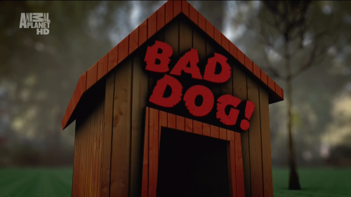  -2 ( 2 ) / Bad Dog-2 (2 episodes) (Discovery Communications, INC.) [2011 ., -, HDTV 1080i]