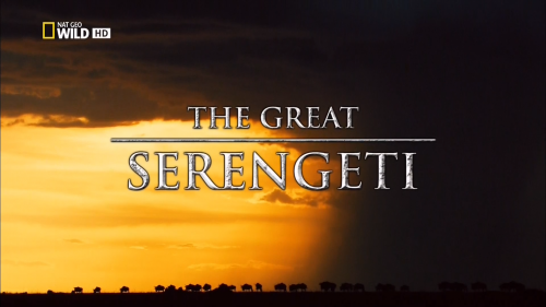     / The Great Serengeti (Reinhard Radke) [2011 ., ,, HDTV 1080i]