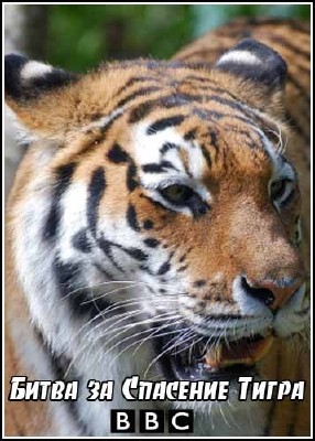 Мир Природы. Битва за Спасение Тигра / Natural World. Battle to Save the Tiger (2007) SATRip
