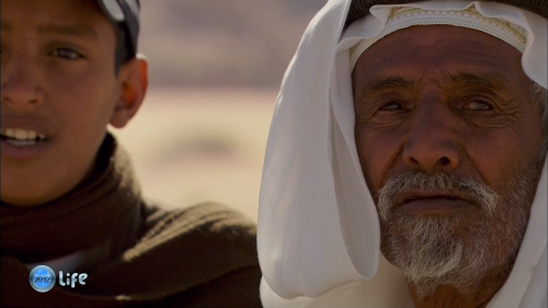  .       / Living cultures. The Last Bedu of Petra and Wadi Rum (Jerome Raynaud) [2010 .,  , , HDTV 1080i]