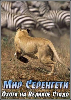 Мир Серенгети. Охота на Великое Стадо / Serengeti. Assault on the Megaherd (2008) SATRip