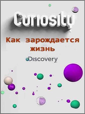 Discovery: Почему? Вопросы мироздания. Как зарождается жизнь / Discovery: Curiosity. Life before birth (2011 / SATRip)