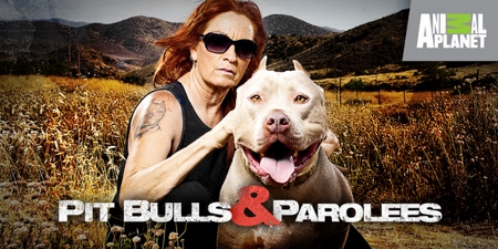 Pit Bulls and Parolees S03E08 Pushing the Limits 720p HDTV x264 - MOMENTUM