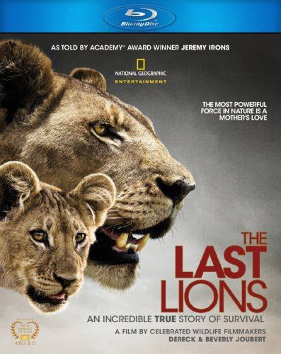   / The Last Lions (  / Derek Joubert) [2011 ., , , BDRip 720p]