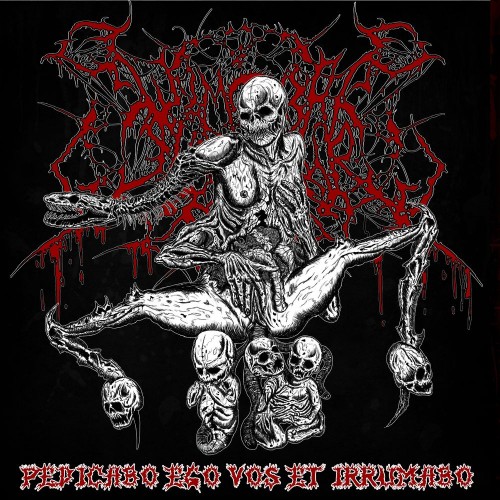 (Brutal Death Metal/Grind)   (Noise Execution) - Pedicabo Ego Vos et Irrumabo - 2011, MP3, 320 kbps
