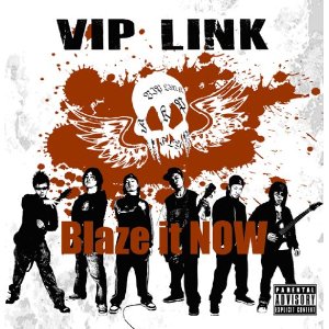 VIP LINK - Blaze it NOW (2010)