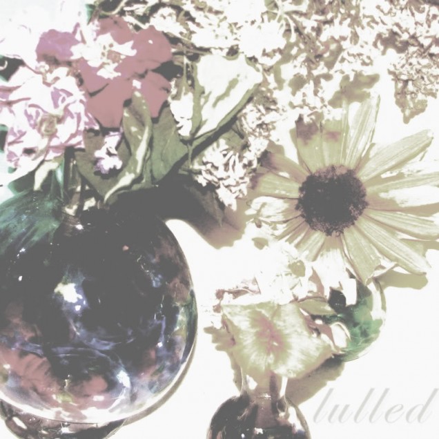 Lulled - Lulled [2011] [Vanity House] [Album]