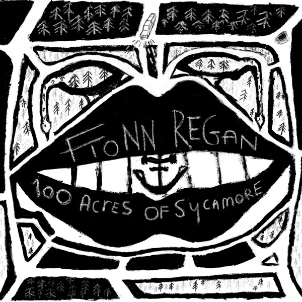 Fionn Regan - 100 Acres of Sycamore [2011] [Album] [FLAC]
