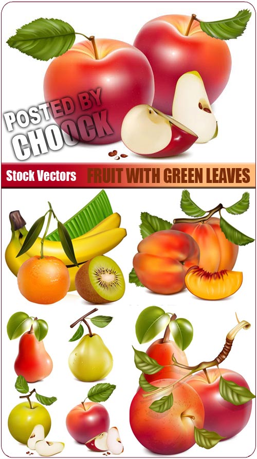 Fruit with green leaves - Stock Vector