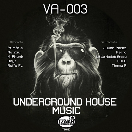 VA - Underground House Music 003 (2012) 
