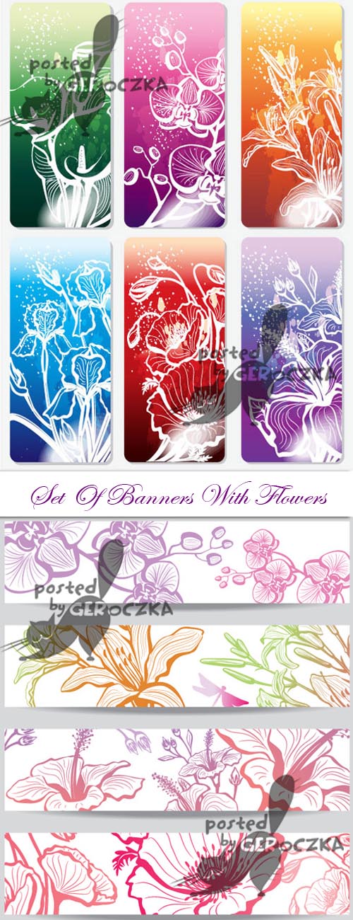 Set of banners with flower