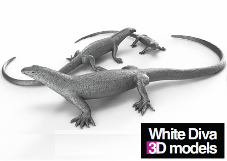 Accent 3D Models Collection vol.1 White Diva