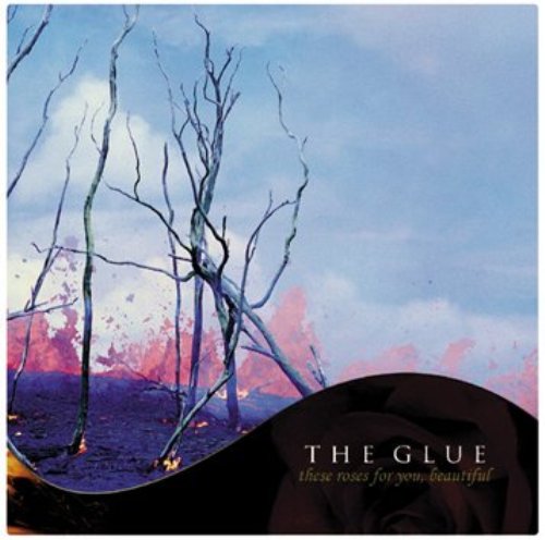 The Glue - Discography (2004-2008)