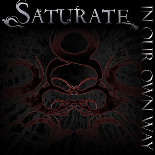 Saturate - In Our Own Way [Single] (2011)