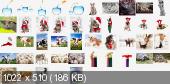 Shutterstock Mega Collection vol.6 - Animals
