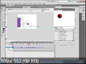 Adobe Flash CS5/CS4. Классическая анимация и создание баннеров. Уровень 2 (2011) Видеокурс