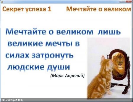 Видеокурс "23 практических секрета успеха"(2012)